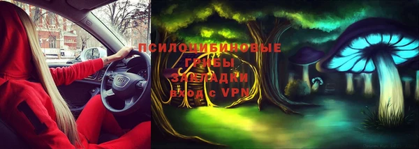 дурь Алексин
