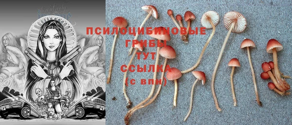 дурь Алексин